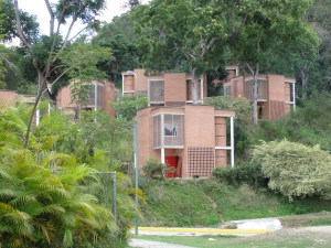 Colmena de la Vida (2)Colmenitas.