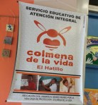 La colmena de la Vida (2)